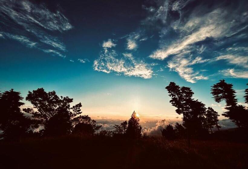 مبيت وإفطار Cabaña Palo Alto