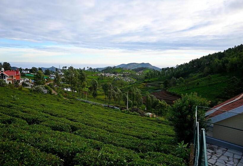 住宿加早餐  Fern Ville Rooms And Cottages