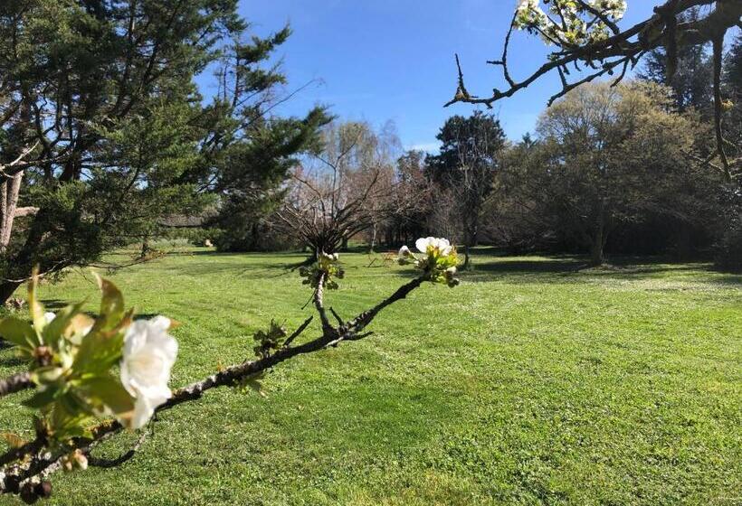 مبيت وإفطار Le 270