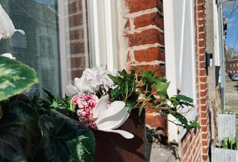 Bed and Breakfast Les Volets Blancs