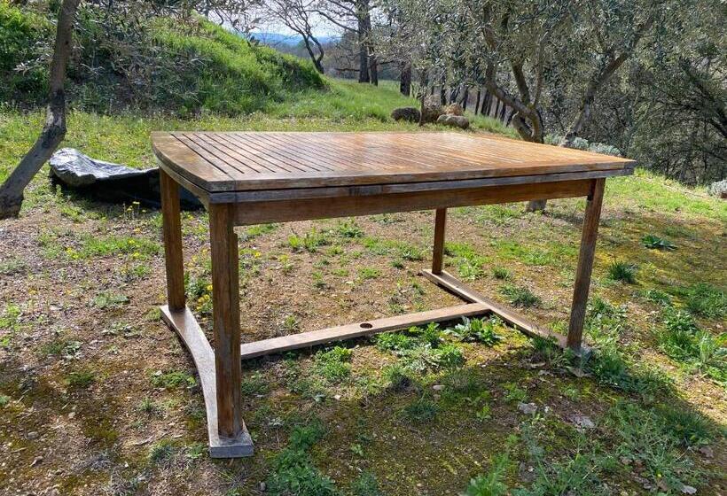 Bed and Breakfast L’oiseau Bleu