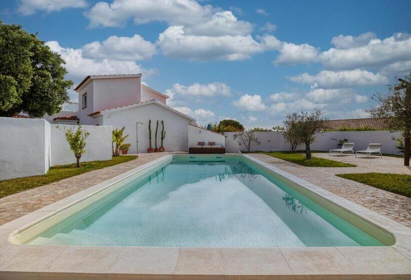 مبيت وإفطار Sunday Morning Guesthouse