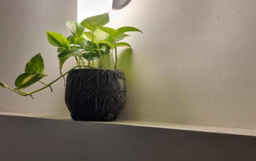 צימר The Glory Villa Transit