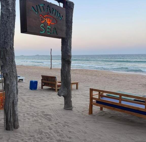 민박 Vitamin Sea Beach Hostel