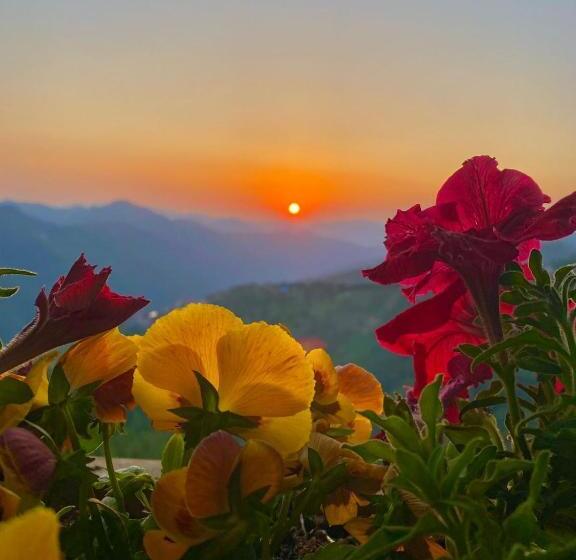 Green Valley Resort Mashobra By An Hotels