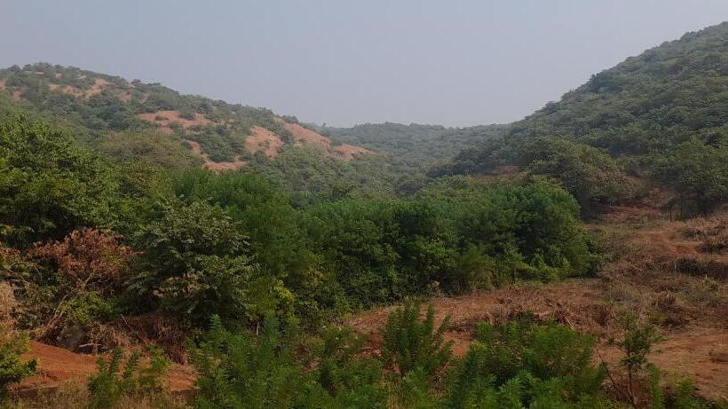 فندق Blue Ocean Sea View