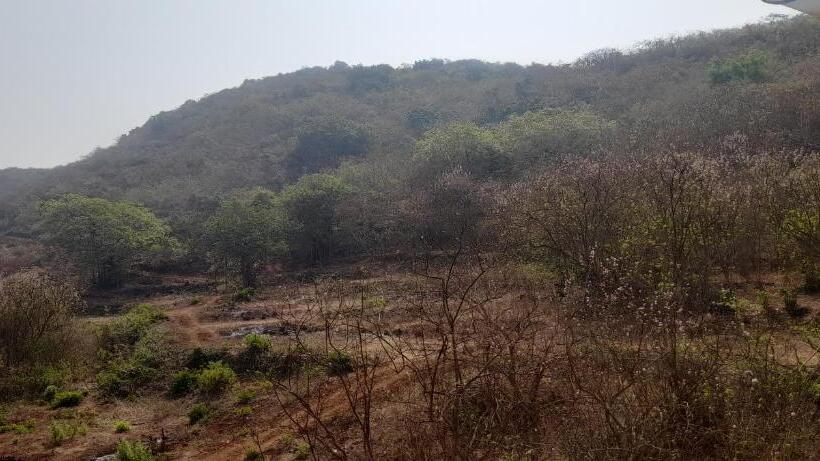 فندق Blue Ocean Sea View