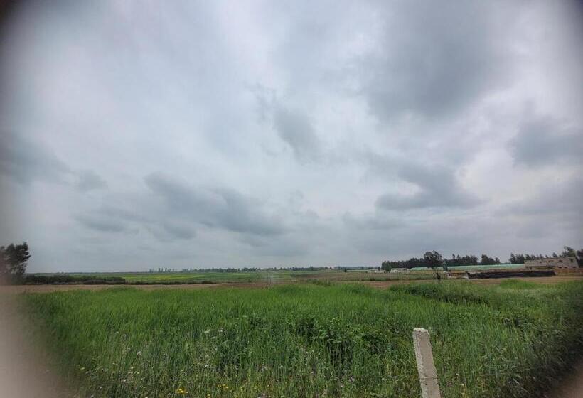 هتل Kenitra  Sidi Yahya