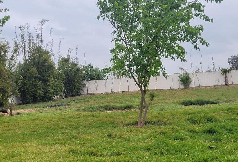 هتل Kenitra  Sidi Yahya