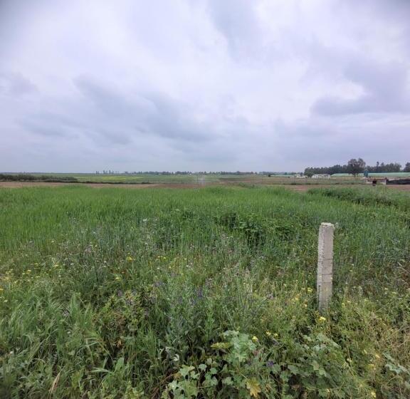 هتل Kenitra  Sidi Yahya