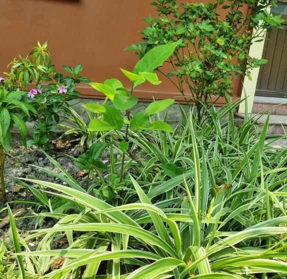 هتل Khách Sạn Viễn đông