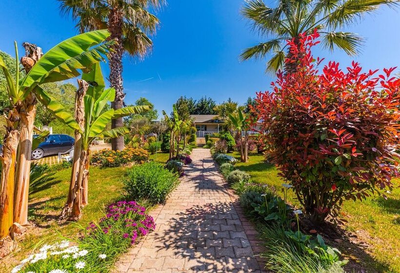 Отель Kompleksi Aljoma