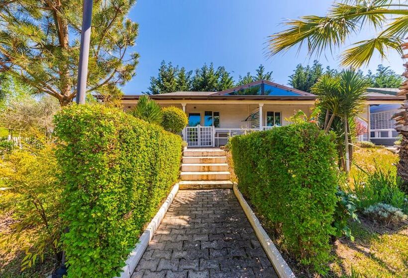 Отель Kompleksi Aljoma