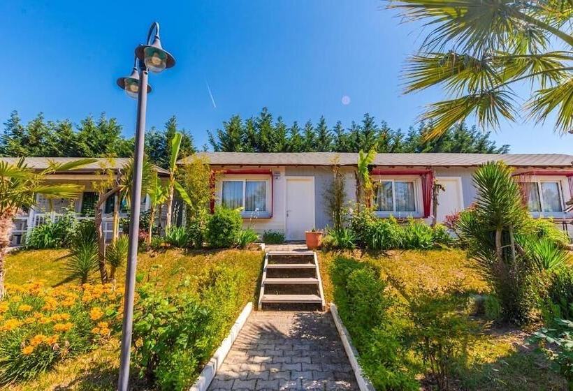 Отель Kompleksi Aljoma