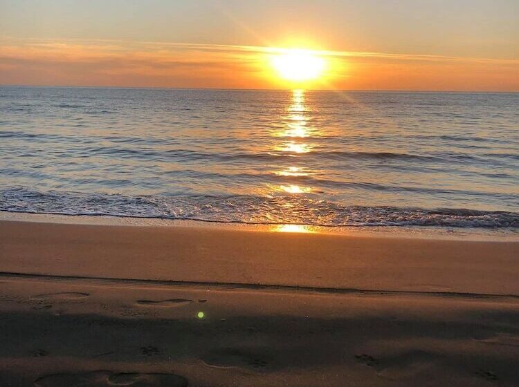 Отель Kompleksi Aljoma