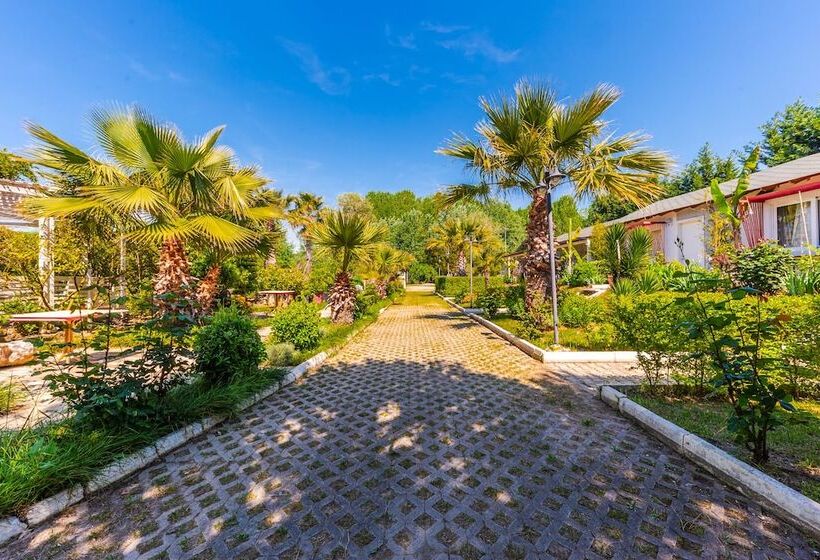 Отель Kompleksi Aljoma