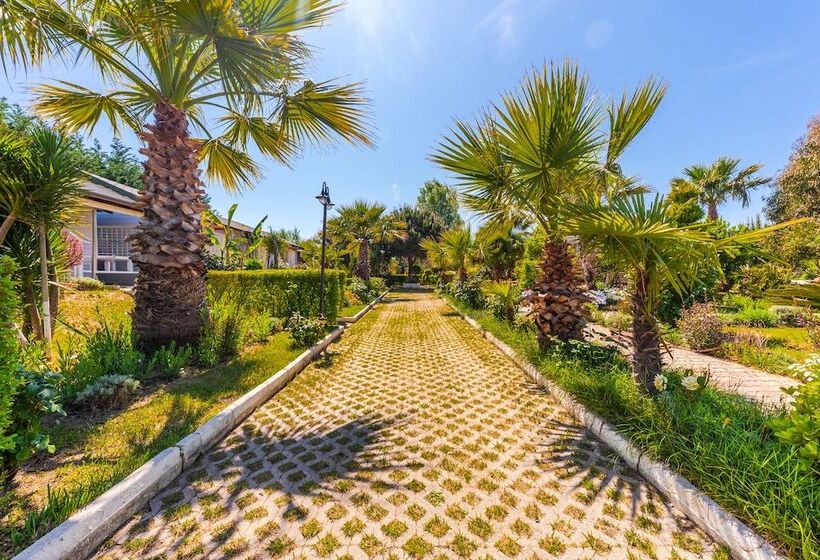 Отель Kompleksi Aljoma