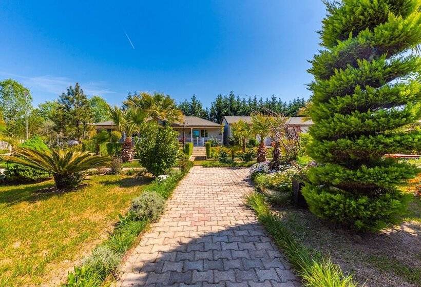 Отель Kompleksi Aljoma