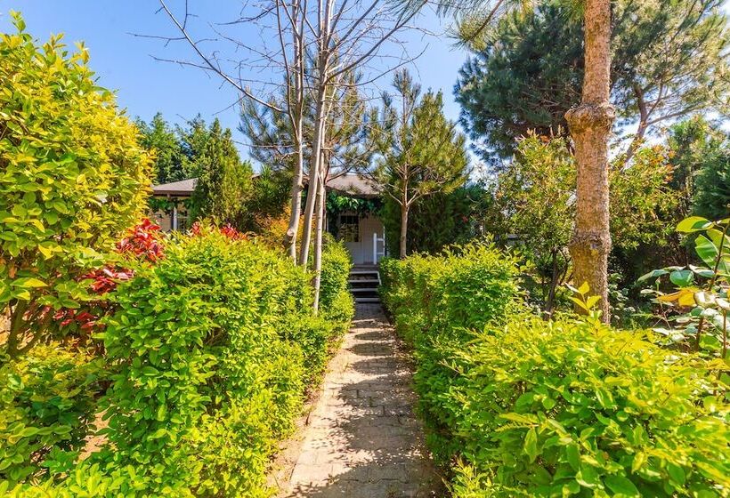 Отель Kompleksi Aljoma