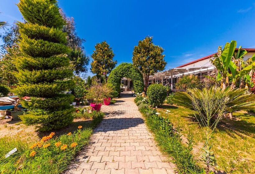 Отель Kompleksi Aljoma