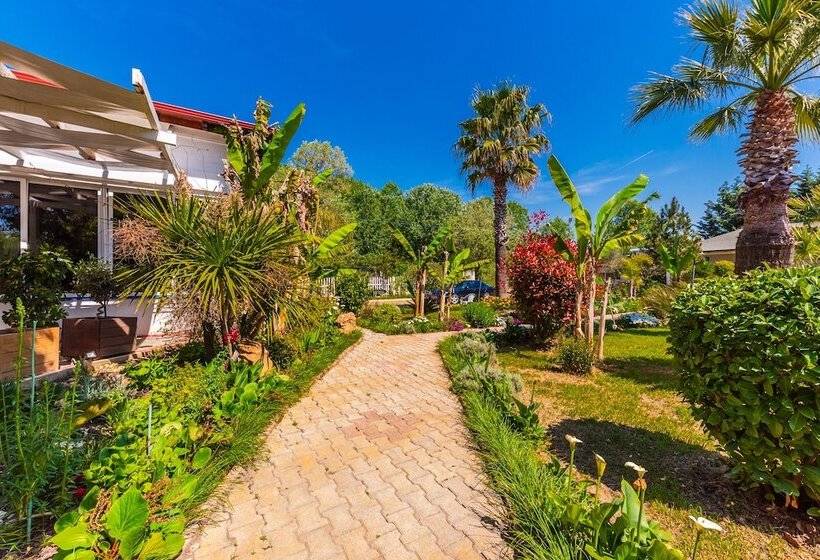 Отель Kompleksi Aljoma