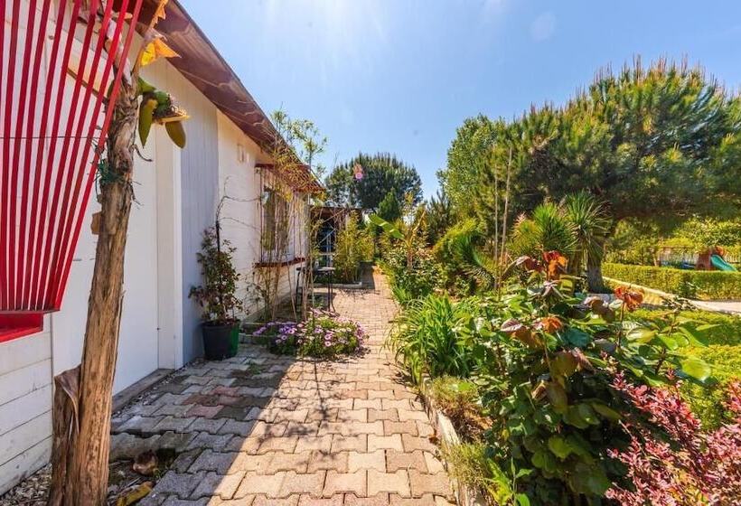 Отель Kompleksi Aljoma