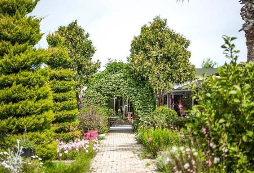 Отель Kompleksi Aljoma