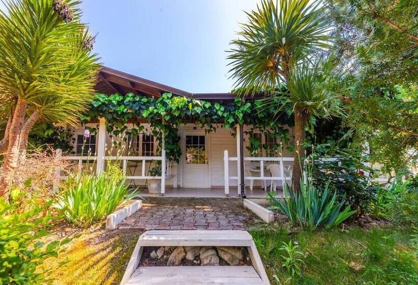 Отель Kompleksi Aljoma