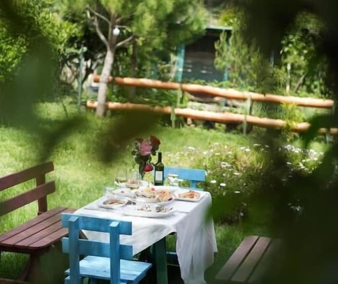 Отель Kompleksi Aljoma