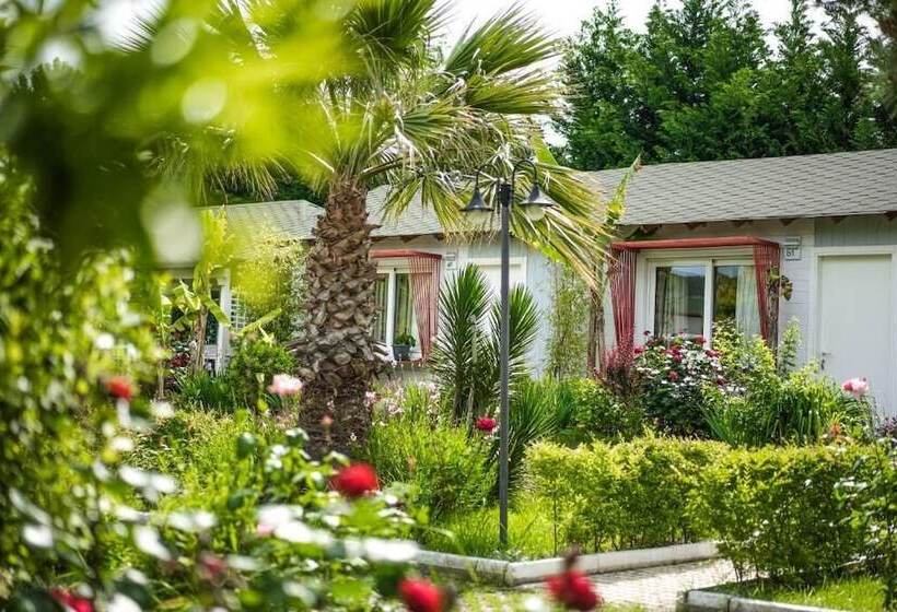 Отель Kompleksi Aljoma