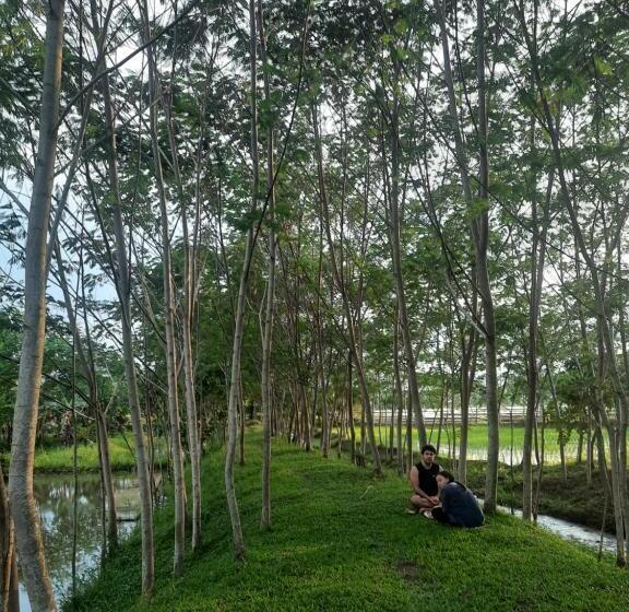 ホテル Paglinawan Organic Eco Farm