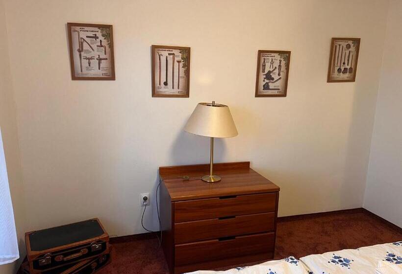 בית מלון כפרי Pohostinství V Holi