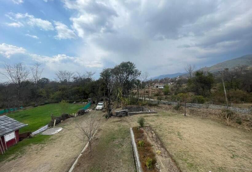 Отель Q Star  The Perfect Move