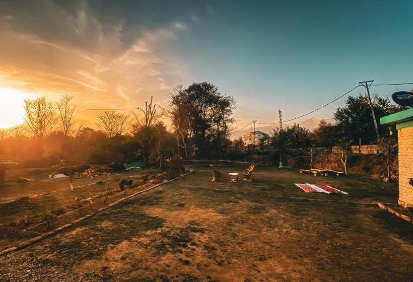 酒店 Q Star The Perfect Move