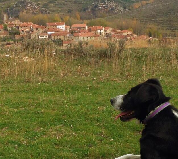 Отель Rural El Rincón De Marta