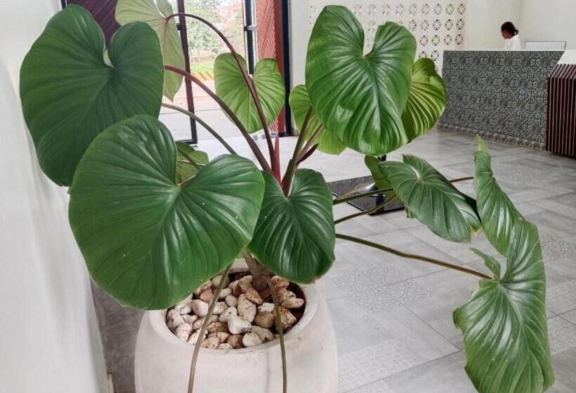 ホテル Serenity Suites D Angkor