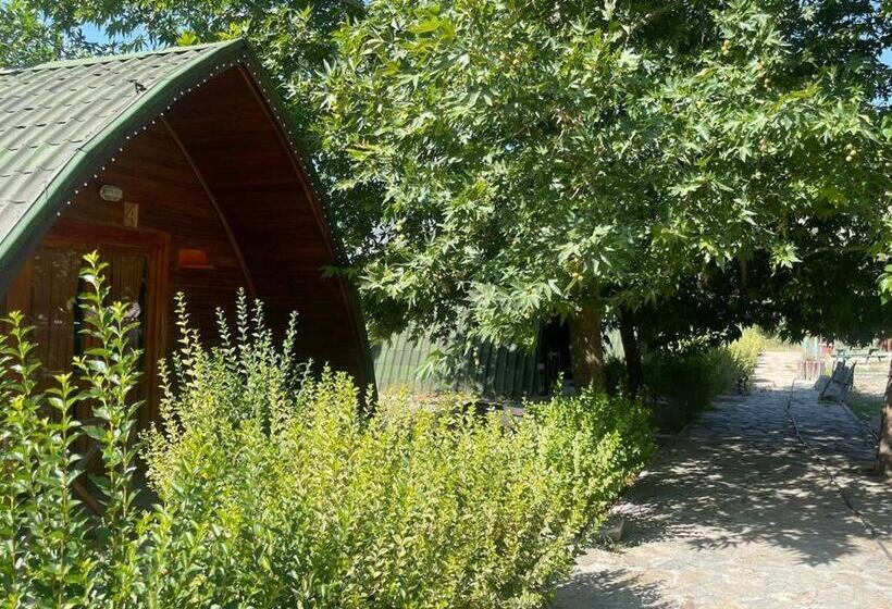فندق Zeyve Bungalov Tatil Köyü