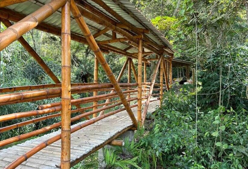 Majestic Coffee Hotel And Restaurant Tierradentro