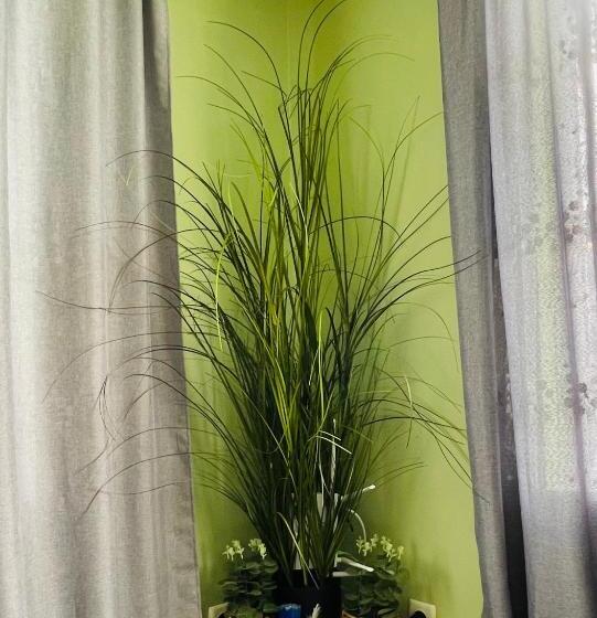 بنسيون вила маца