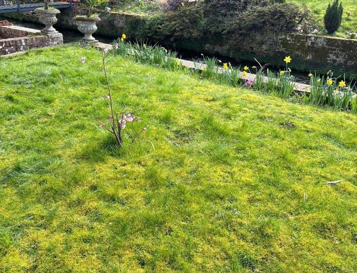 펜션 Aux Bonheurs Des Roses