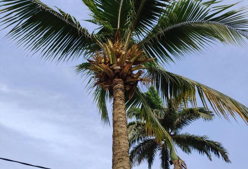 پانسیون Beach House Oasis