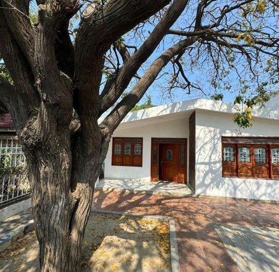 ペンション Calipso Dive And Pet Center