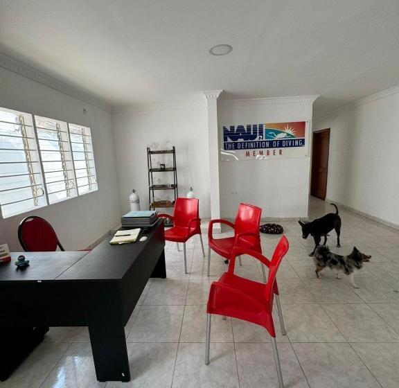 ペンション Calipso Dive And Pet Center