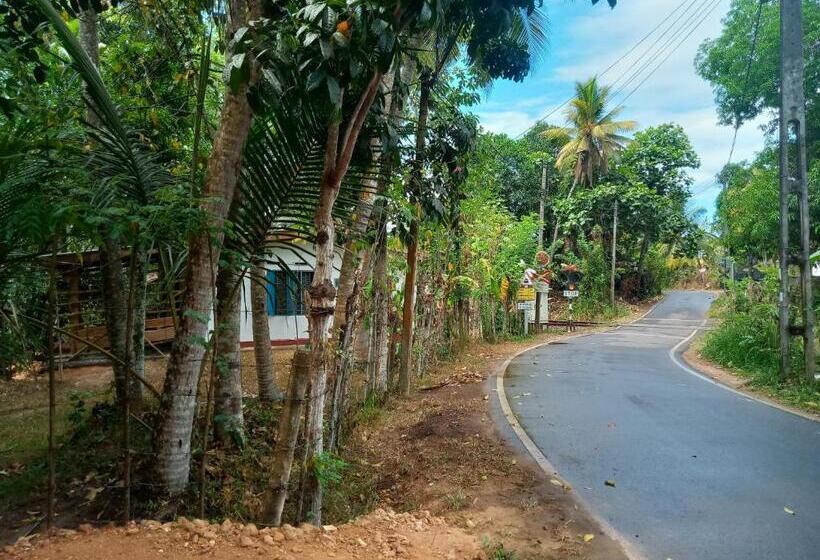 بنسيون Cinnamon Forest Nature Rooms