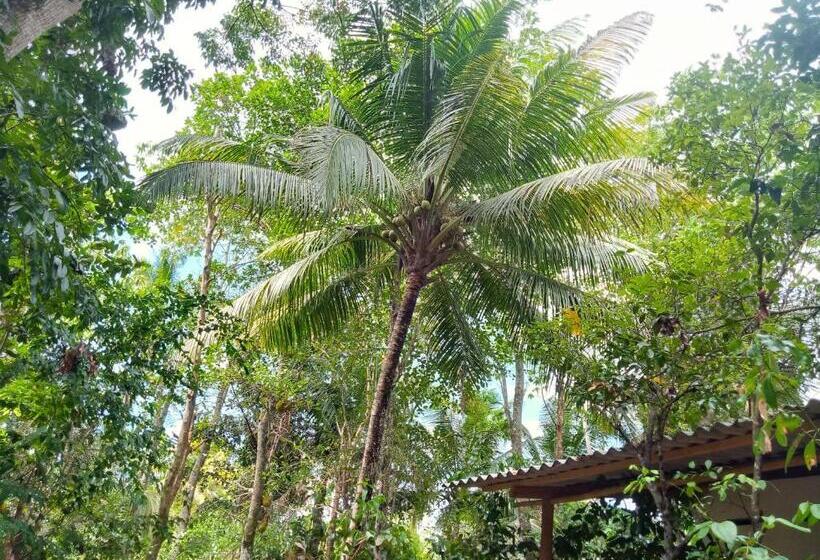 بنسيون Cinnamon Forest Nature Rooms