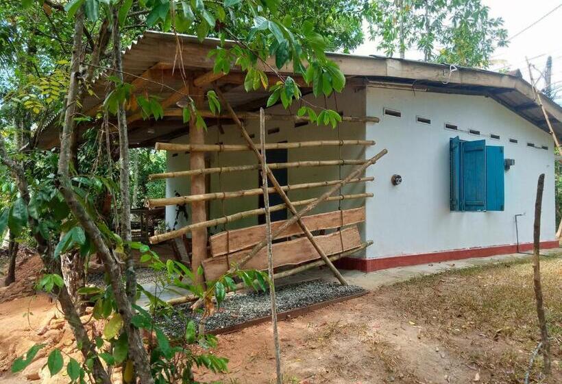 بنسيون Cinnamon Forest Nature Rooms