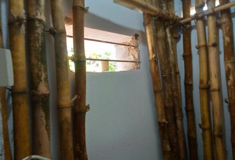 بنسيون Cinnamon Forest Nature Rooms