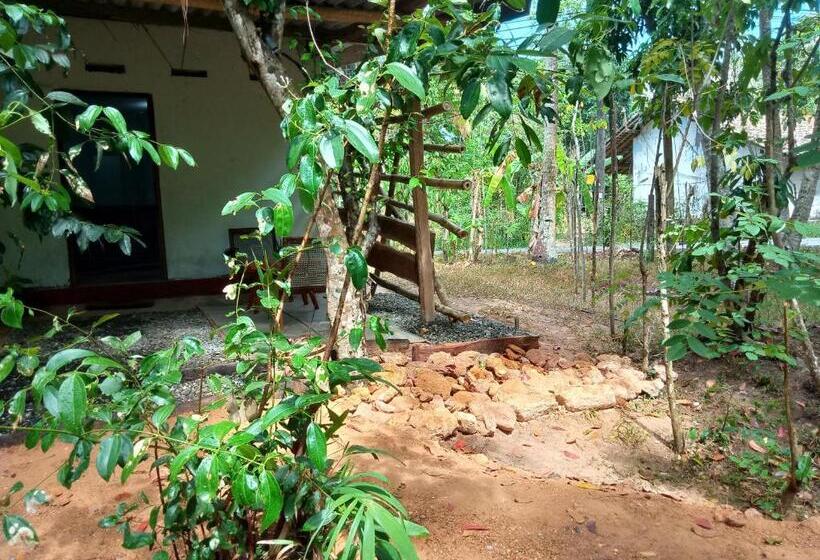 بنسيون Cinnamon Forest Nature Rooms