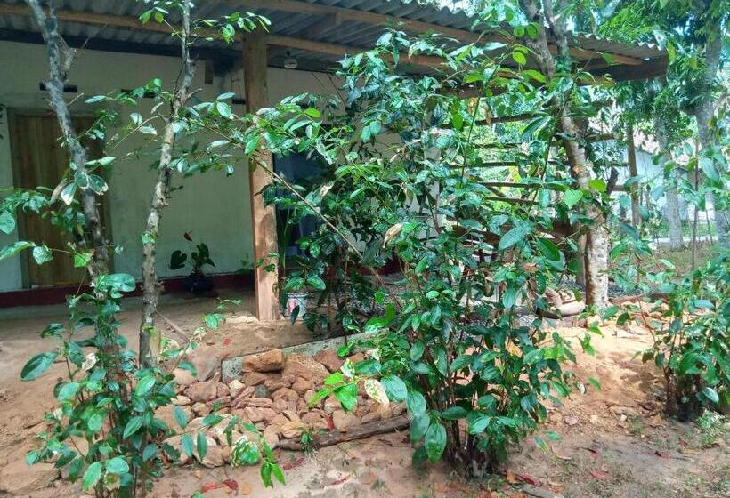 بنسيون Cinnamon Forest Nature Rooms