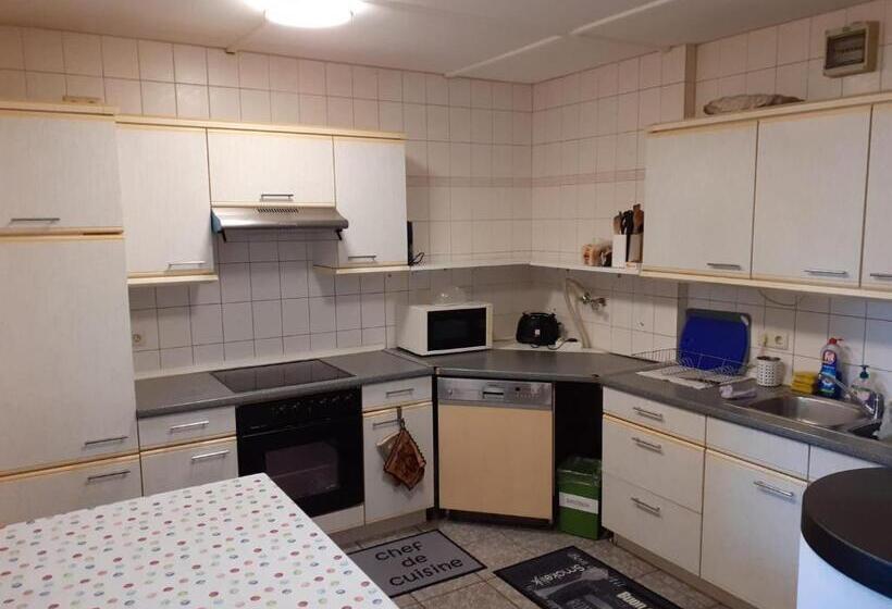 بنسيون Gasthaus Elbe